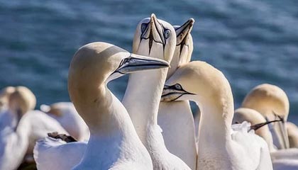 中国米兰-烟台一职校19岁男生被室友用锐器捅死，案件正在调查中