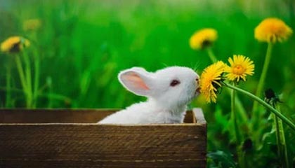 中国米兰-烟台一职校19岁男生被室友用锐器捅死，案件正在调查中